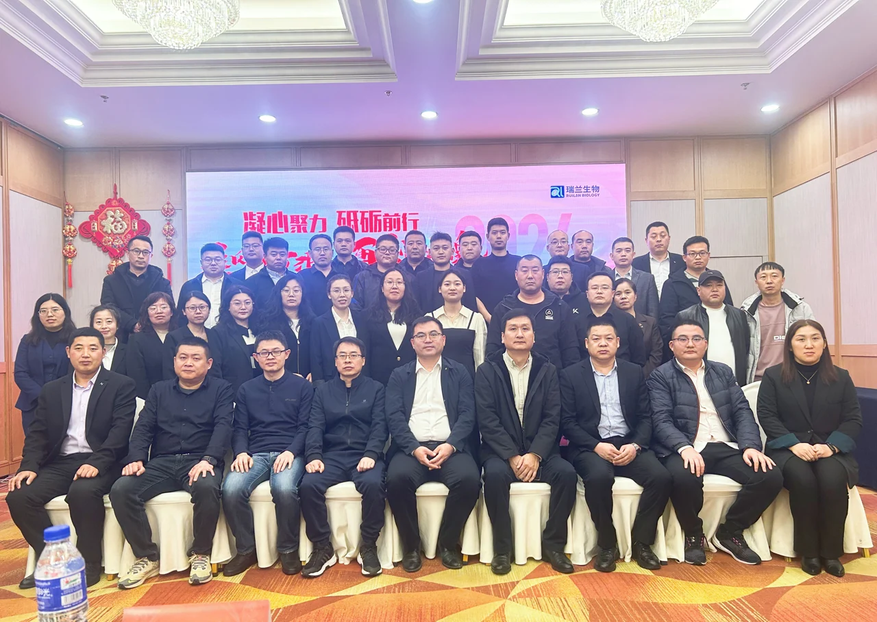 企业提供的年会团队合照