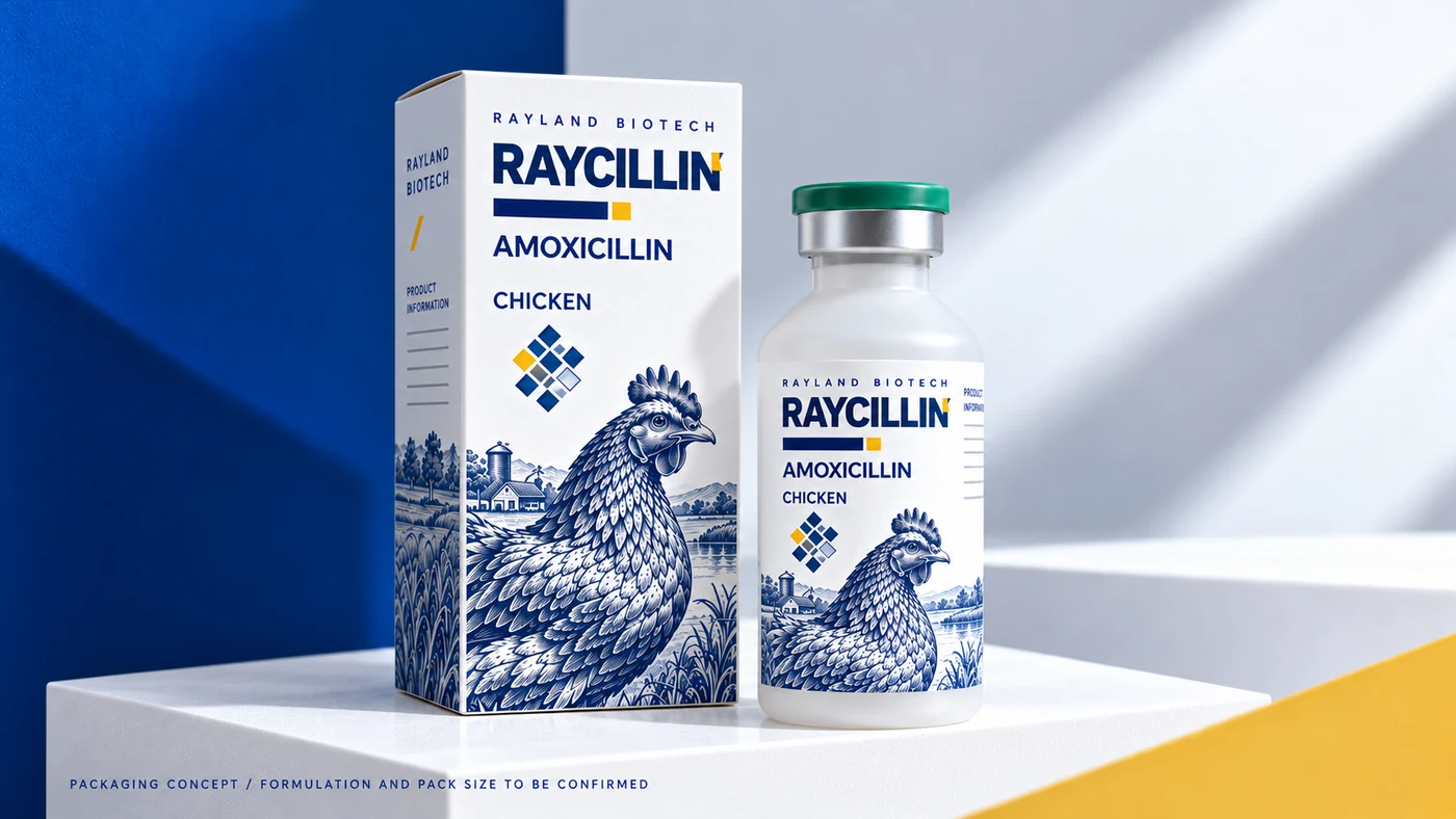 Raycillin 鸡类 · 动物版画盒瓶概念