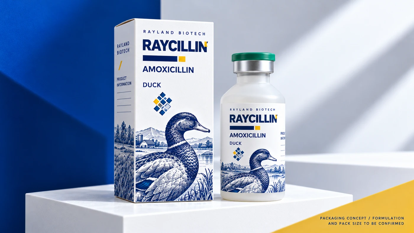Raycillin 鸭类 · 动物版画盒瓶概念