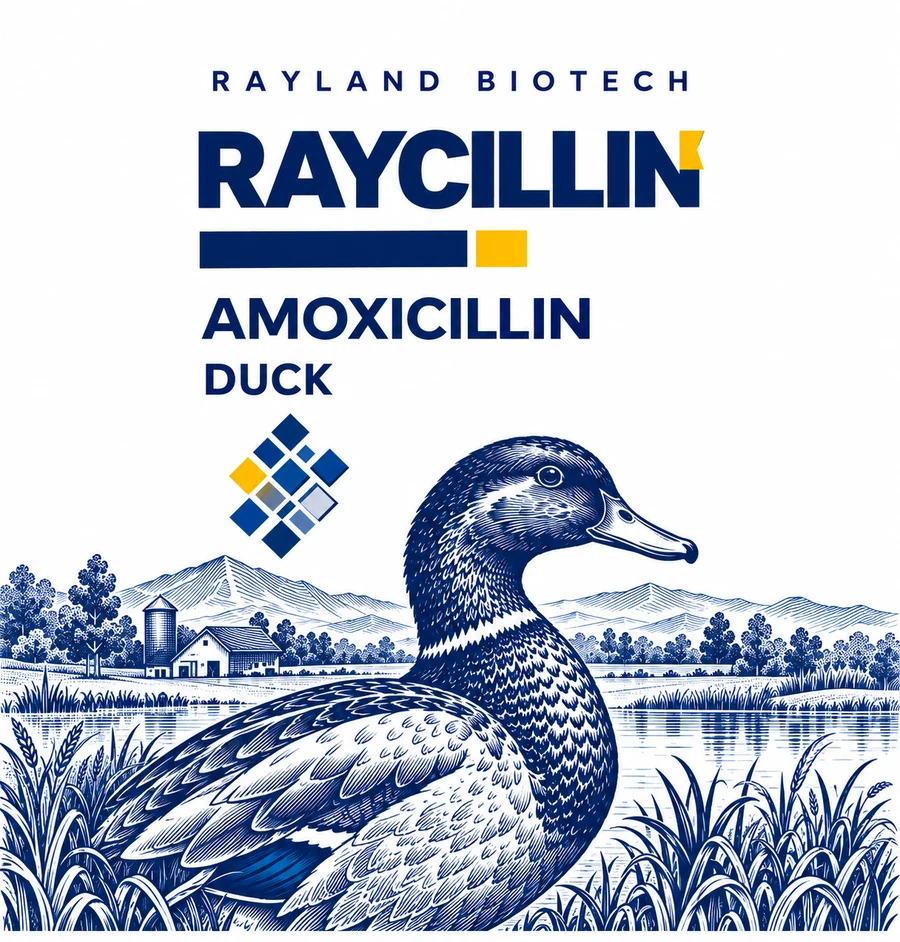 Raycillin 鸭类瓶身图案沿用正面