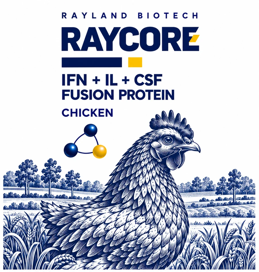 Raycore 鸡类瓶身图案沿用正面