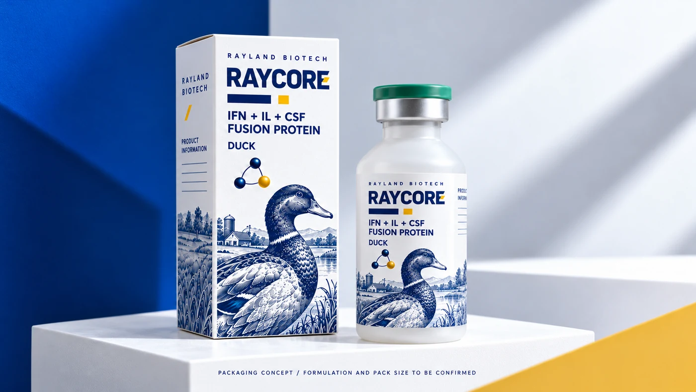 Raycore 鸭类 · 动物版画盒瓶概念