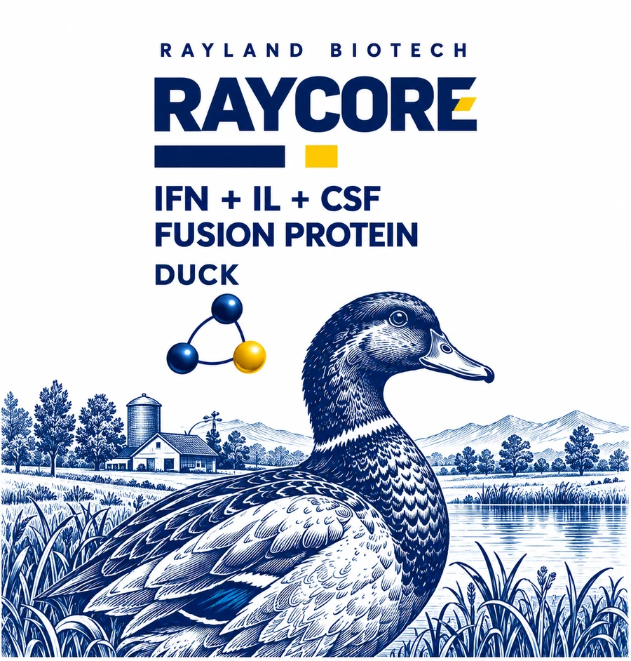 Raycore 鸭类瓶身图案沿用正面