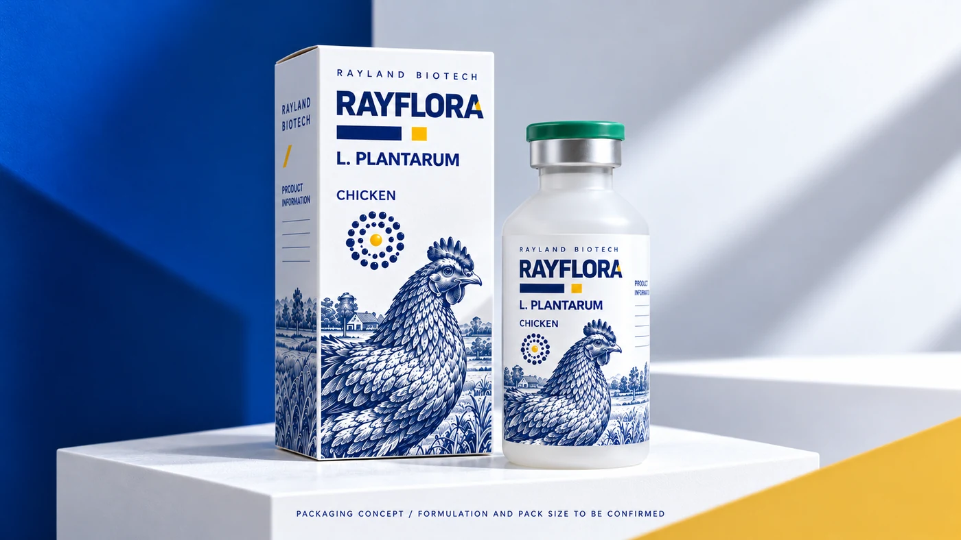 Rayflora 鸡类 · 动物版画盒瓶概念