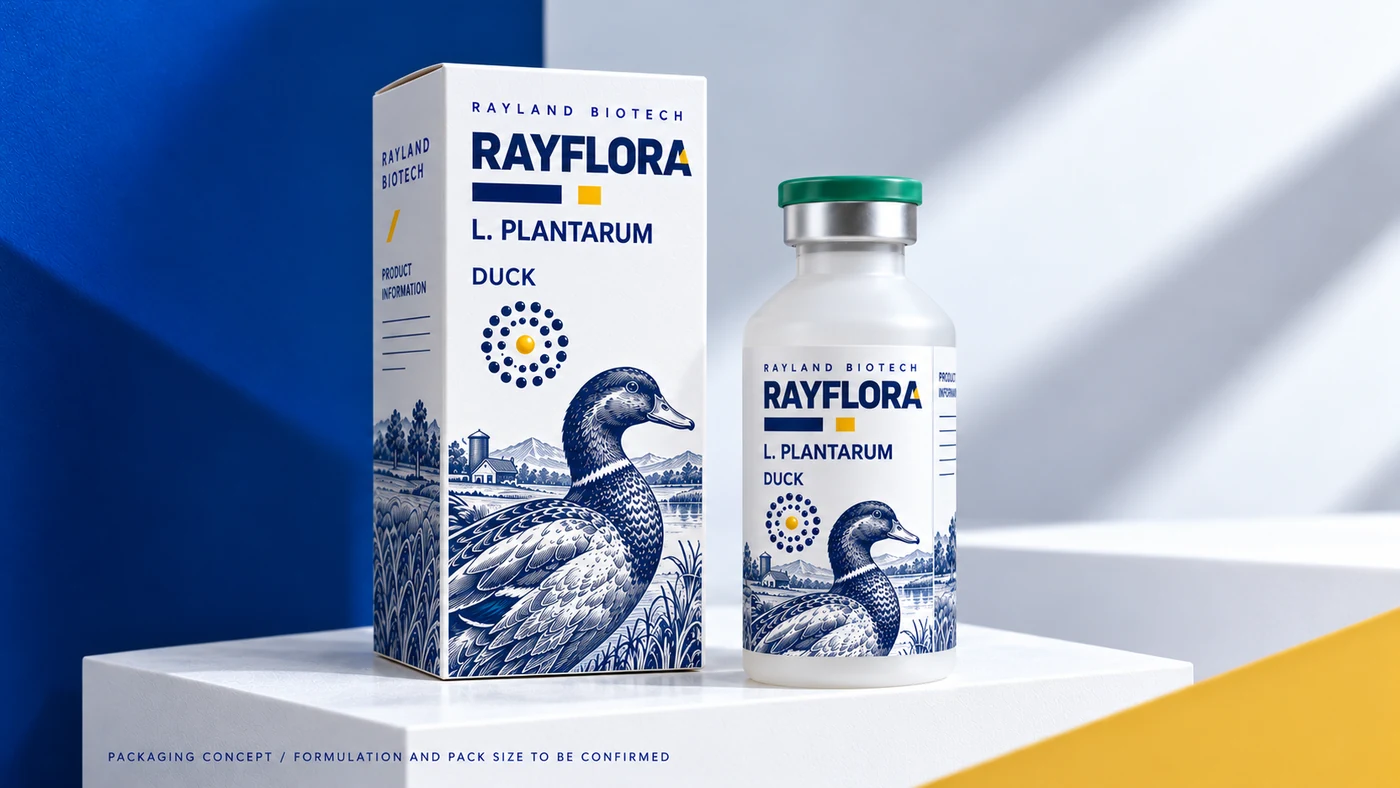 Rayflora 鸭类 · 动物版画盒瓶概念