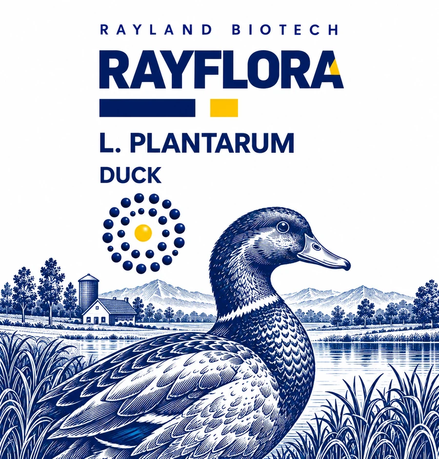 Rayflora 鸭类瓶身图案沿用正面